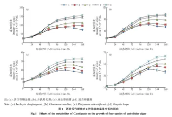 西施舌代谢物对单细胞藻类的促生长作用研究