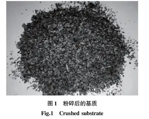 西北干旱地区蕙兰（ Cymbidium faberi  Rolfe）林下栽培技术研究