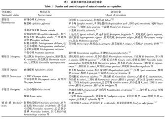 天敌昆虫在蔬菜上的应用