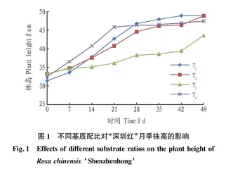 不同基质类型及配比对“深圳红”月季生长适应性的影响