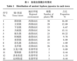 济源国槐古树的资源现状与生长环境分析