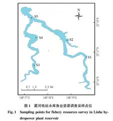 蔺河电站水库渔业资源调查和鱼产力估算