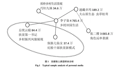 移动互联时代自媒体在乡村文化中的作用机理