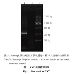 切花小菊“红昌”脱毒技术研究