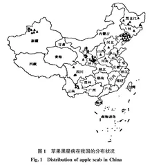黄土高原陕甘交界区苹果黑星病的发生与防治
