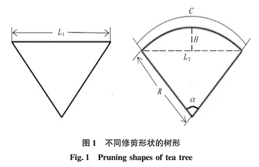 修剪形状对英红九号茶树蓬面生长与产量的影响