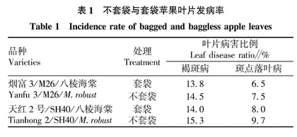 无袋与套袋栽培富士苹果病虫害及果实品质差异分析