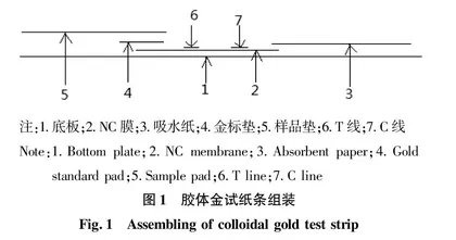 烟草黑胫病菌胶体金免疫层析快速检测技术的建立与评价