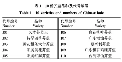 不同品种芥蓝发芽期和苗期耐盐性鉴定及综合评价