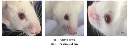 一种免疫调节肽的小鼠经口急性毒性试验