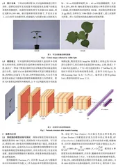基于迁移学习对棉花受海水胁迫情况判断的模型研究