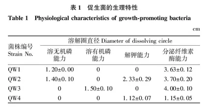 绿肥与促生菌对甘薯连作土壤的改良研究