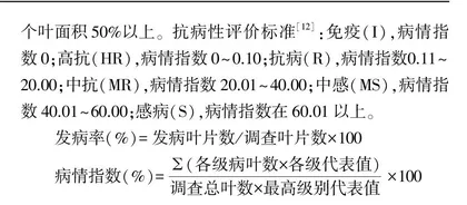 马铃薯早疫病病原菌的分离鉴定及品种早疫病抗性评价