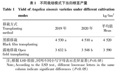 黑膜移栽当归生产力及其增长特征
