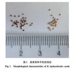不同处理方法对溪黄草种子萌发的影响