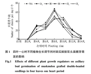 不同植物生长调节剂对甜瓜双头苗的影响