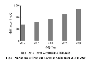我国家庭园艺产业发展现状与前景分析