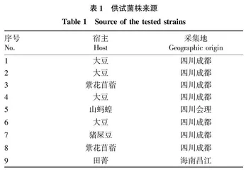 9株野生根瘤菌的分离鉴定及60Co耐受•吸附性研究
