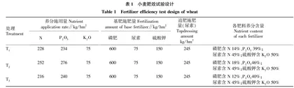不同磷肥对冬小麦生育期动态•产量及肥效的影响
