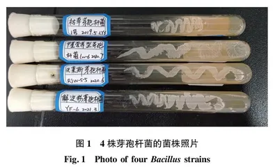 4株芽孢杆菌及其应用特征数据综述