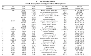 豫东地区冬枣果园杂草种类调查