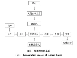混菌发酵对口含烟原料提质降害研究
