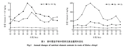 掌叶覆盆子根和茎中主要矿质营养元素含量的动态变化