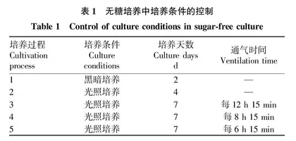 甘薯脱毒种苗无糖培养的影响因素研究