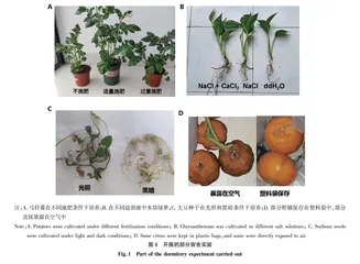 基于“互联网+”植物生理学以学生为中心的教学模式的应用探索