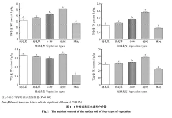 新邱露天煤矿排土场土壤生态化学计量特征