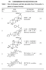 云南栝楼属植物的化学成分及生物活性研究进展