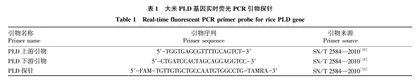 茶叶中掺杂大米成分实时荧光PCR检测方法的建立和应用