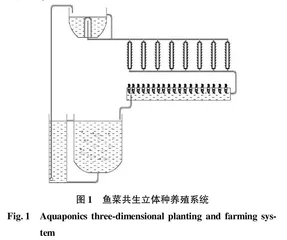 油麦菜对鱼菜共生立体种养殖系统中水质的净化效果研究