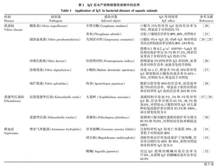 卵黄抗体在水产疾病防治中的研究应用进展