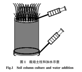 土柱模拟条件下水分胁迫和磷对草地早熟禾耗水量的影响