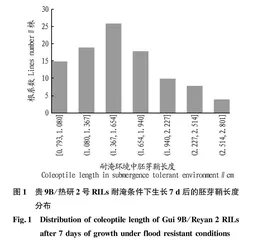 水稻耐淹性状QTL分析