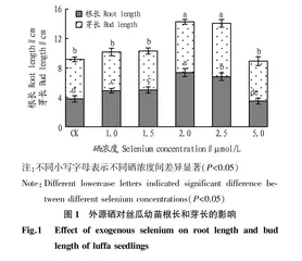 不同浓度硒对丝瓜生长•叶绿素含量及光合特性的影响