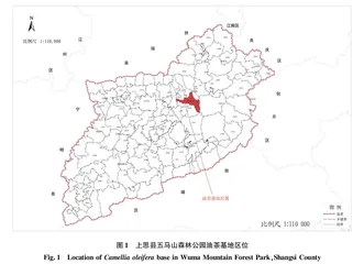 高产油茶基地造林规划与设计
