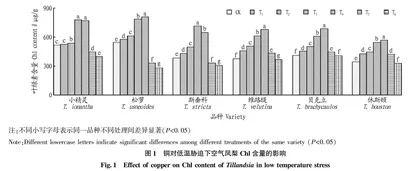 铜对低温胁迫下空气凤梨抗寒生理特征的影响