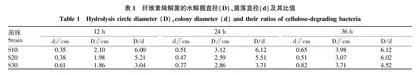 纤维素降解菌的筛选及对玉米秸秆降解的影响