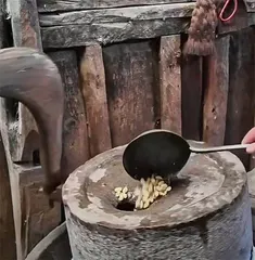 后窗1