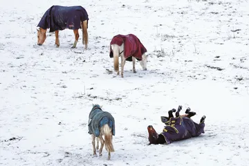 冰雪,好热5