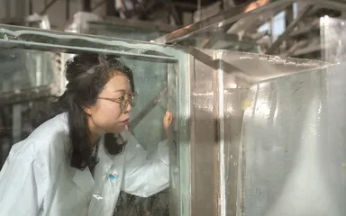 范宣梅,转身向山里走去1