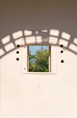 大马,如画4