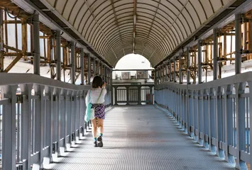 大马,如画7