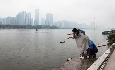放生变“放死”,乱象何以出现?1