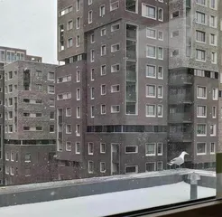 后窗1