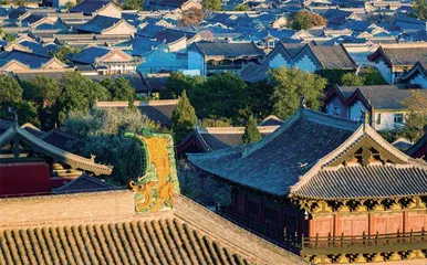 大同,大不同1