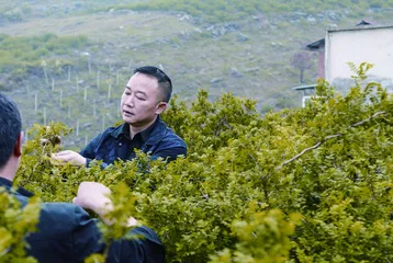 莫光胜,不要走1