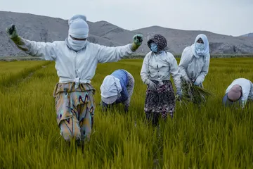 中亚四国,争夺河流2